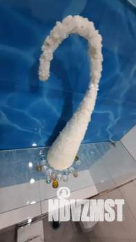 1-к квартира, посуточно, 55м2, 12/16 этаж