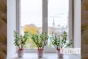 Студия квартира, посуточно, 40м2, 8/10 этаж