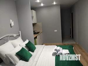 Студия квартира, посуточно, 30м2, 2/24 этаж