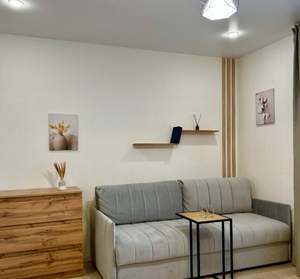 Студия квартира, на длительный срок, 22м2, 14/24 этаж