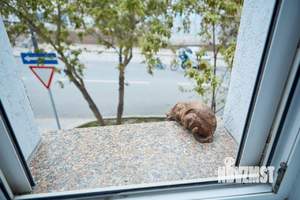 2-к квартира, посуточно, 55м2, 1/1 этаж