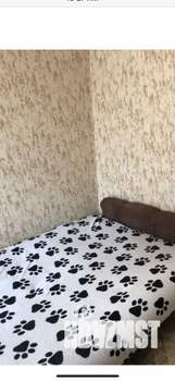 1-к квартира, на длительный срок, 16м2, 5/5 этаж
