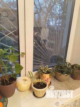 1-к квартира, вторичка, 35м2, 1/2 этаж