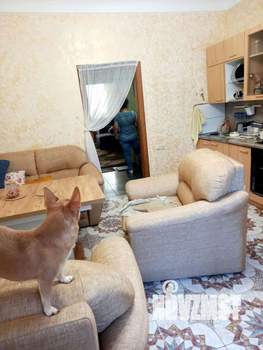 3-к квартира, вторичка, 85м2, 1/3 этаж