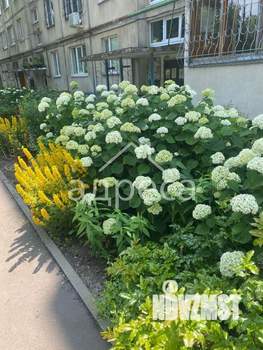 2-к квартира, вторичка, 47м2, 3/5 этаж