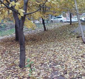 3-к квартира, вторичка, 74м2, 5/9 этаж