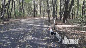 3-к квартира, вторичка, 74м2, 8/12 этаж