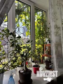 2-к квартира, вторичка, 53м2, 1/4 этаж