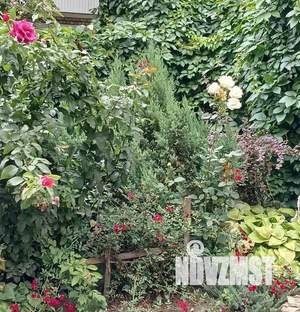 2-к квартира, вторичка, 40м2, 2/5 этаж