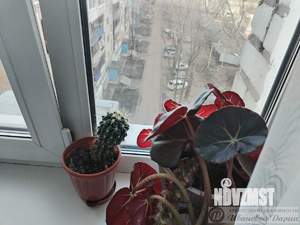 2-к квартира, вторичка, 34м2, 7/9 этаж