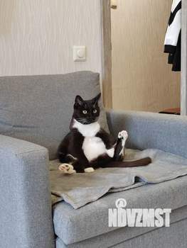 Студия квартира, вторичка, 34м2, 6/9 этаж