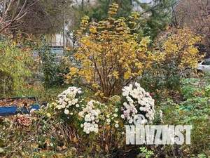 2-к квартира, вторичка, 50м2, 2/9 этаж