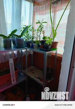 2-к квартира, вторичка, 50м2, 4/5 этаж