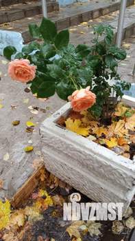 2-к квартира, вторичка, 50м2, 5/12 этаж