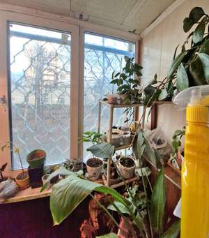 3-к квартира, вторичка, 63м2, 1/10 этаж