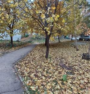 3-к квартира, вторичка, 74м2, 5/9 этаж