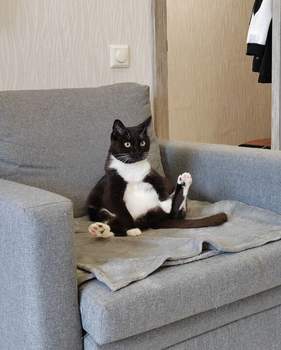 1-к квартира, вторичка, 28м2, 6/9 этаж