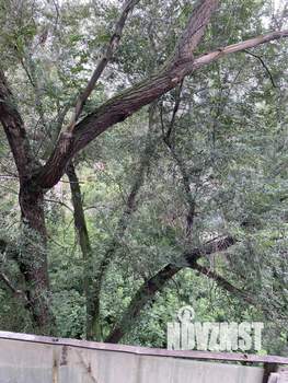 1-к квартира, вторичка, 85м2, 5/5 этаж