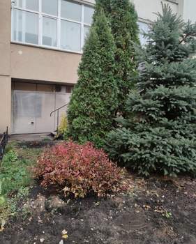 1-к квартира, вторичка, 60м2, 10/15 этаж