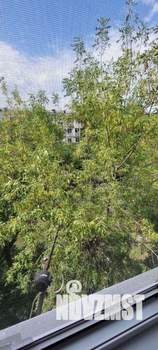 3-к квартира, вторичка, 65м2, 5/5 этаж