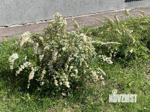2-к квартира, вторичка, 46м2, 3/3 этаж