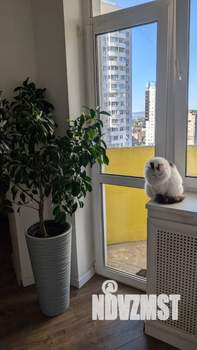 3-к квартира, вторичка, 78м2, 15/25 этаж