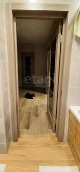 1-к квартира, вторичка, 48м2, 13/17 этаж