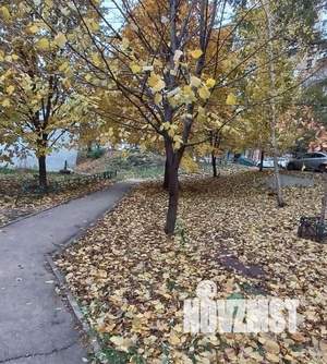 3-к квартира, вторичка, 74м2, 5/9 этаж