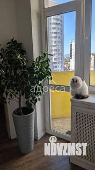 3-к квартира, вторичка, 78м2, 15/25 этаж
