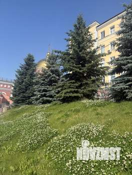 2-к квартира, вторичка, 54м2, 5/5 этаж