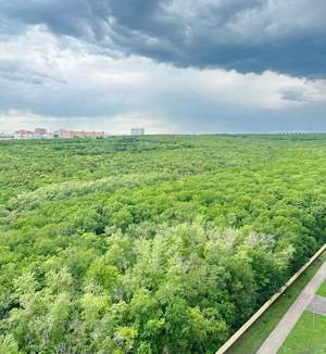 1-к квартира, вторичка, 41м2, 20/22 этаж