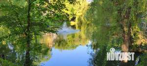 1-к квартира, вторичка, 41м2, 6/9 этаж