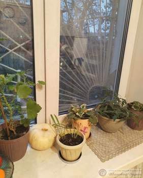 1-к квартира, вторичка, 35м2, 1/2 этаж