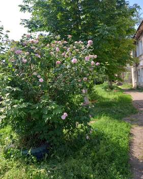 2-к квартира, вторичка, 48м2, 1/2 этаж