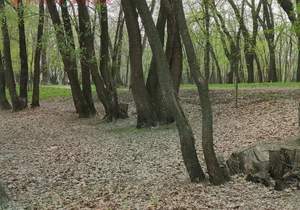 1-к квартира, вторичка, 35м2, 16/16 этаж