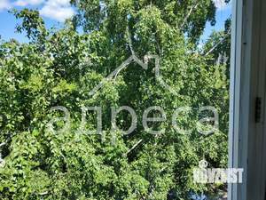 Фото квартиры на продажу (10)