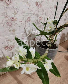 1-к квартира, вторичка, 45м2, 5/15 этаж